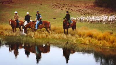 Burnelee Excursions on Horseback