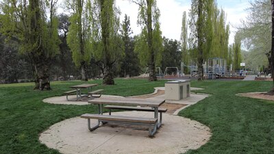 Picnic tables and barbeques