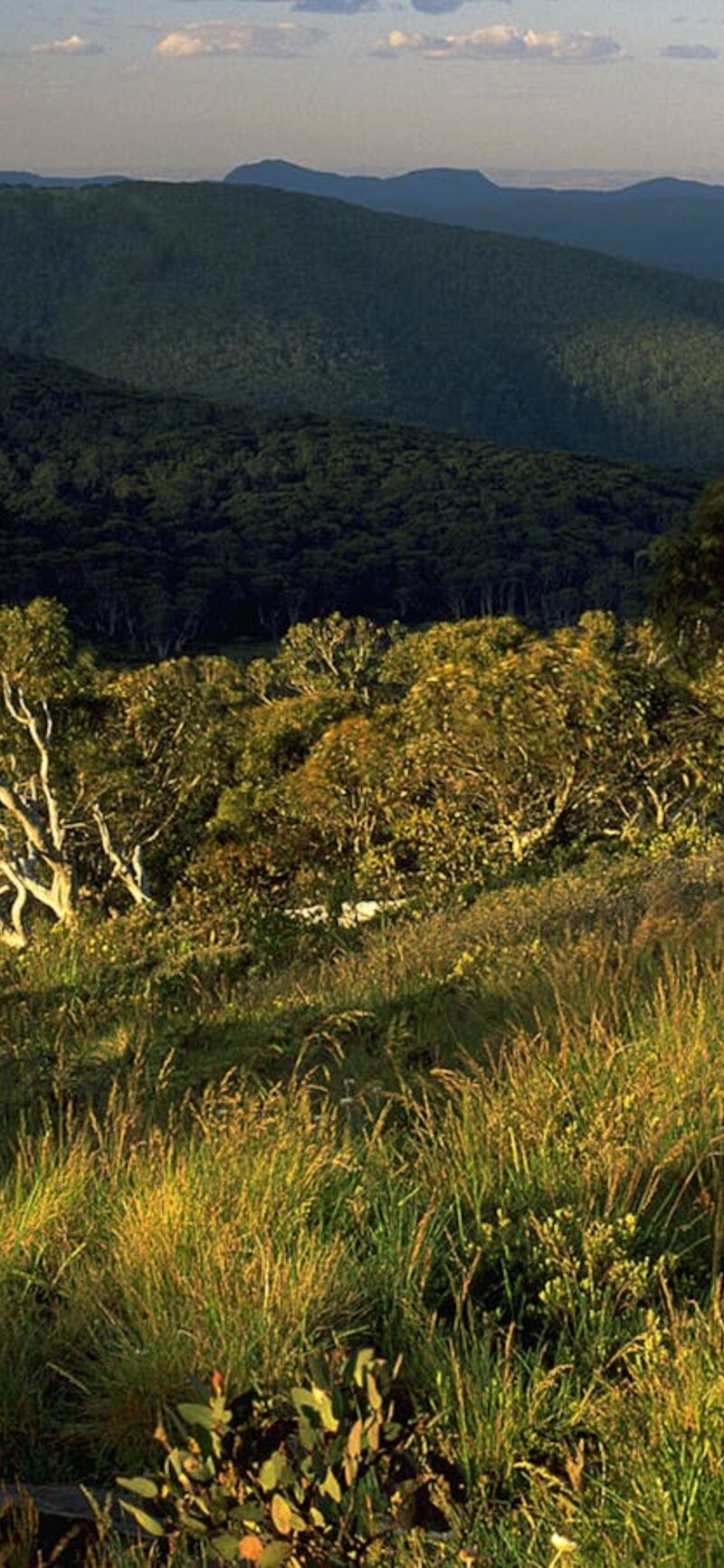 Namadgi National Park And Visitors Centre Visitcanberra