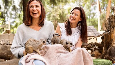 2 women with 3 meerkats on their lap in a zoo enclosure. Feeding the meerkats during an encounter