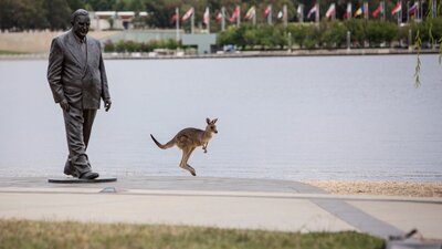 A kangaroo next to the R G Menzies statue on the lakeside