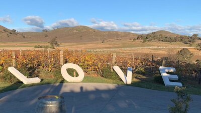 LOVE sign at Brindbella Hills winery