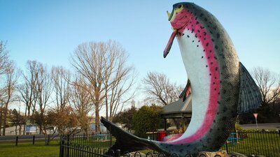 The Big Trout - Adaminaby