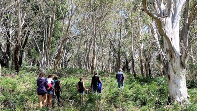 Group of kids and adults hiking in single file through Australian bush landscape
