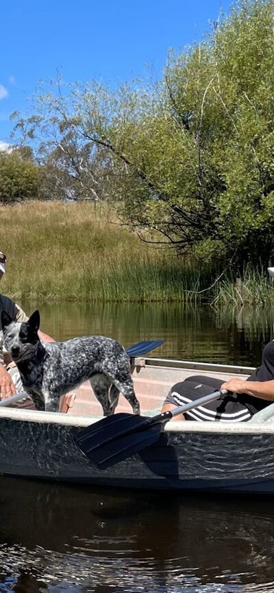 Man, woman & dog in small rowboat on water, blue sky, grass & trees behind