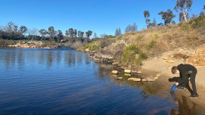 Bombay Bush Cabin and Camping