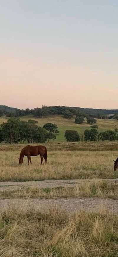 Brooklyn Springs Farm Escape