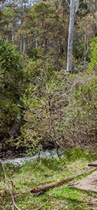 Buddong Falls campground, Kosciuszko National Park. Photo: Murray Vanderveer/NSW Government