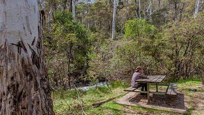 Buddong Falls campground, Kosciuszko National Park. Photo: Murray Vanderveer/NSW Government