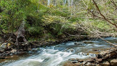 Buddong Falls campground, Kosciuszko National Park. Photo: Murray Vanderveer/NSW Government