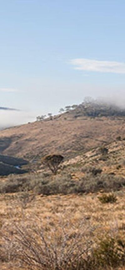 View of open plains and mist-filled valley near Bullocks Hill trail, northern Kosciuszko National