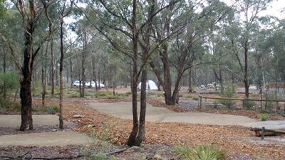 Bungonia Campground, Bungonia National Park. Photo: Audrey Kutzner/NSW Government