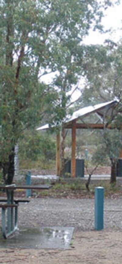 Bungonia Campground, Bungonia National Park. Photo: Audrey Kutzner/NSW Government