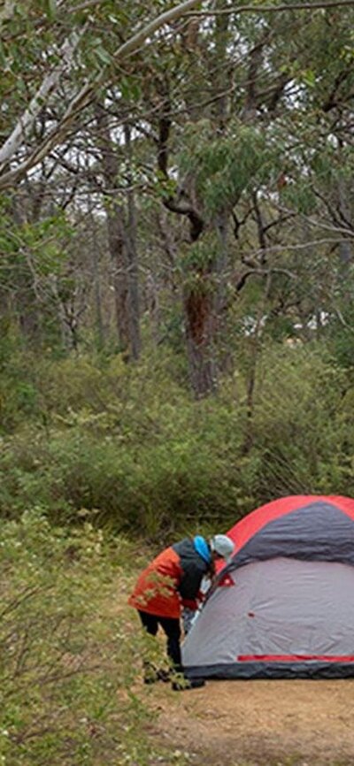 Campers setting up their tent among bushland at Bungonia campground. Photo: John Spencer/DCCEEW