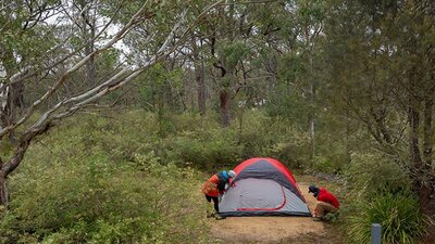 Campers setting up their tent among bushland at Bungonia campground. Photo: John Spencer/DCCEEW