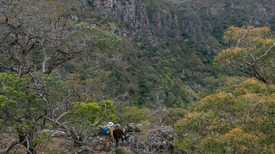 Walkers on The Green track in Bungonia National Park. Photo: John Spencer/DCCEEW &copy; DCCEEW