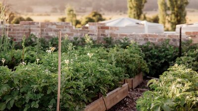 Collector Cottage Veg Garden
