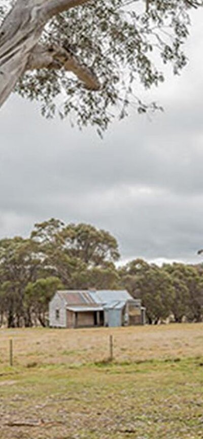 Cooinbil Hut campground, Kosciuszko National Park. Photo: Murray Vandaveer/DPIE