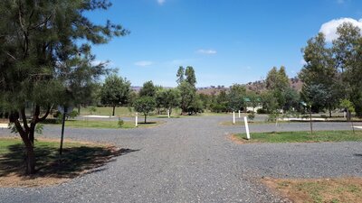 Coolac Cabins and Camping