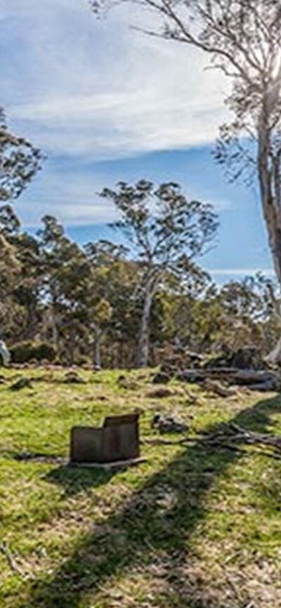Cooleman Mountain campground, Kosciuszko National Park. Photo: Murray Vanderveer/NSW Government