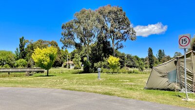 Gunning Caravan Park  - Camping