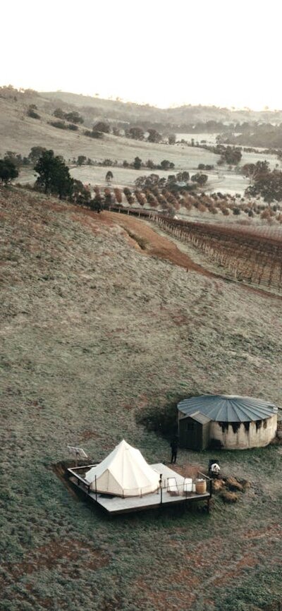 Aerial view of the Edgar cubby, sitting between the vines