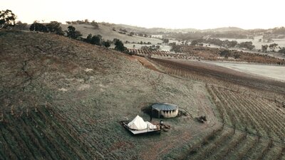 Aerial view of the Edgar cubby, sitting between the vines