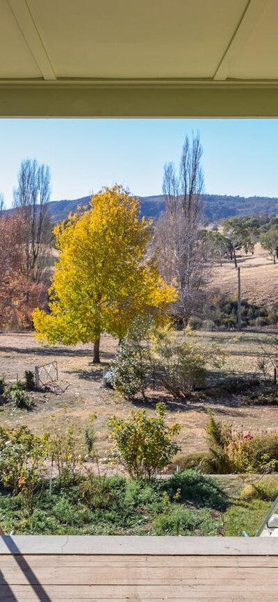 view from a verrandah overlooking a garden in autumn