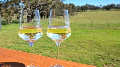 Two wine glasses on the deck