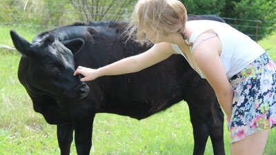 Patting one of the friendly cows at elm Cottage