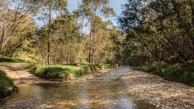 Flea Creek campground, Brindabella National Park. Photo: Murray van der Veer/NSW Government