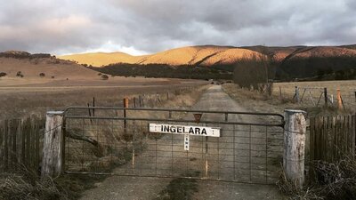 Ingelara Farm