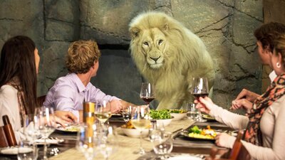 Jake the white lion joining guests in the cave dining room for dinner
