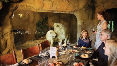 Dinner in the Jamala 'Cave' Restaurant with White Lions, Jake and Mischka