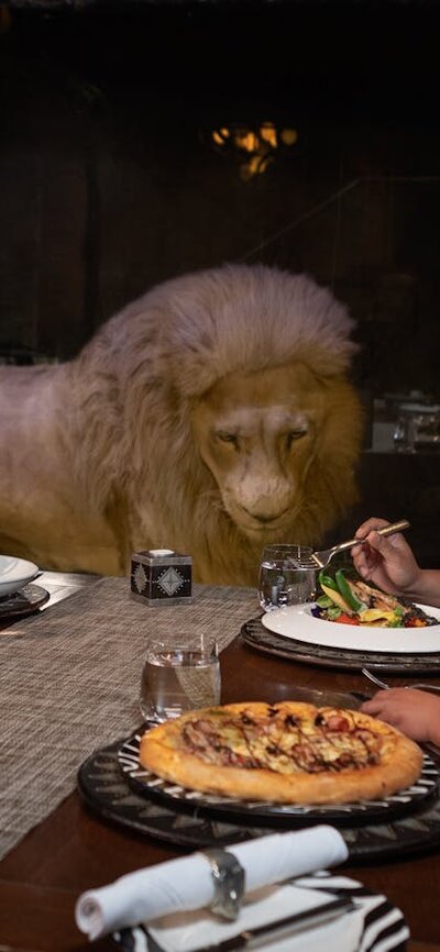 Family dining in Cave Restaurant with Jake the white lion.