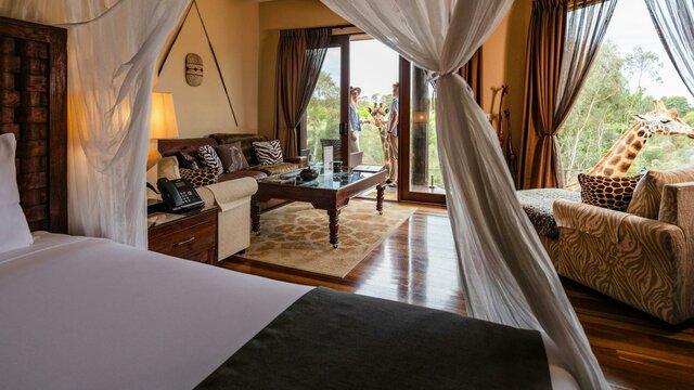 Giraffe Treehouse - Skye and Khamesi Photo of Giraffe Treehouse featuring 4 poster king bed, living room and view of two giraffes.