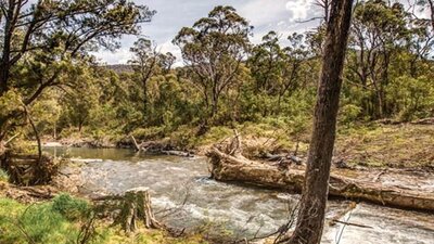 Lowells Flat campground, Brindabella National Park. Photo: Murray van der Veer/NSW Government