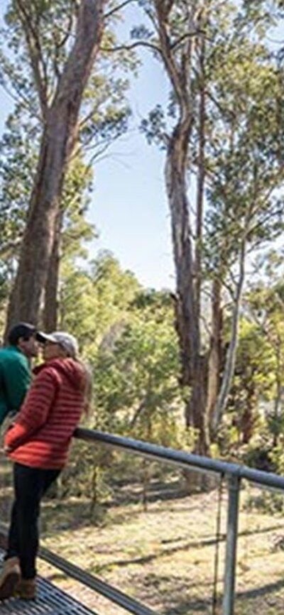 A couple on the verandah at Lyrebird Cottage, Kosciuszko National Park. Photo: Boen Ferguson/OEH.