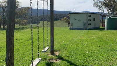 kids and adult swings