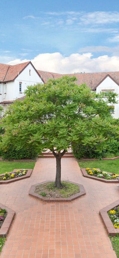 Courtyard Gardens