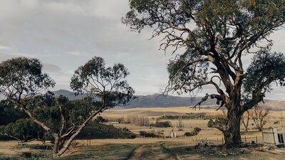 Michelago Farm Camping