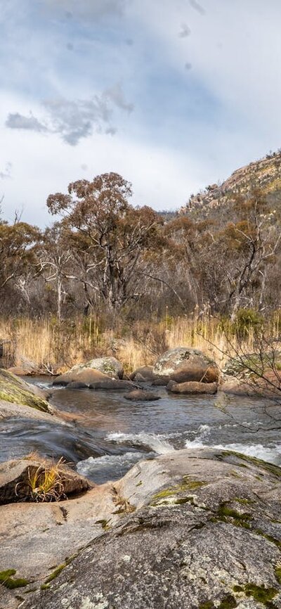 River with bushland in background