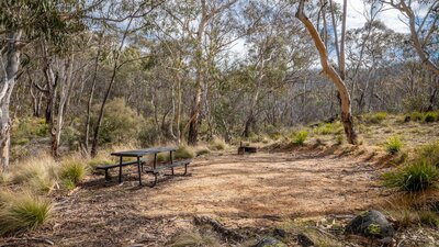 Camping site with picnic table