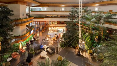 A large airy room full of lush green trees and plants at hotel in Canberra