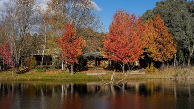 Redbrow Garden Guesthouse Lakeside en suite