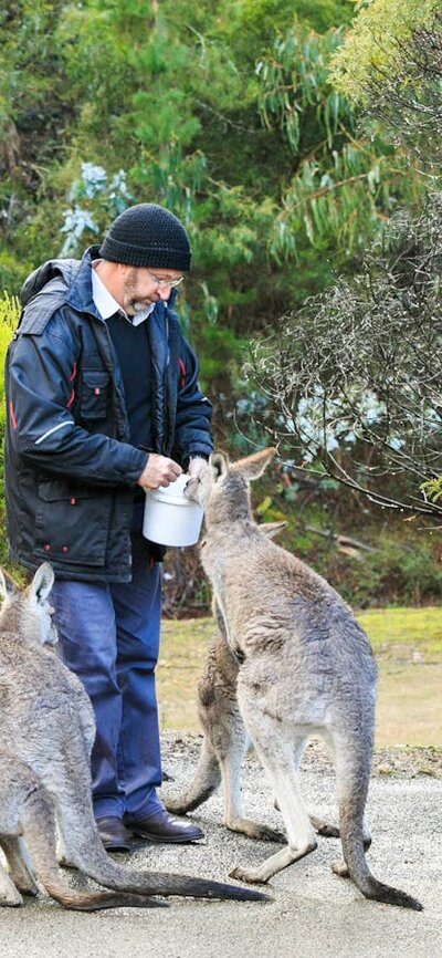 Man feeding a group of friendly kangaroos at Reflections Holiday Parks Burrinjuck Waters