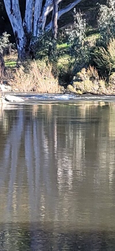 Beautiful Goobragandra River at your doorstep River