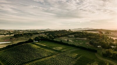 Tallagranda Hill vineyard