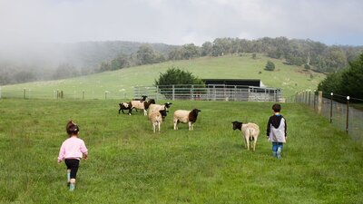 Towrang Farmstay