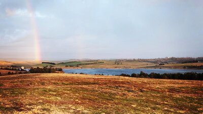 Two little Pigges glamping